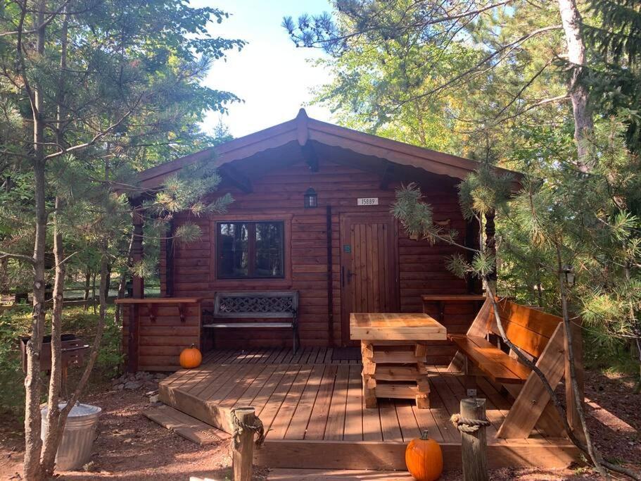 Honeybear Hideaway Cabin Хейвард Экстерьер фото