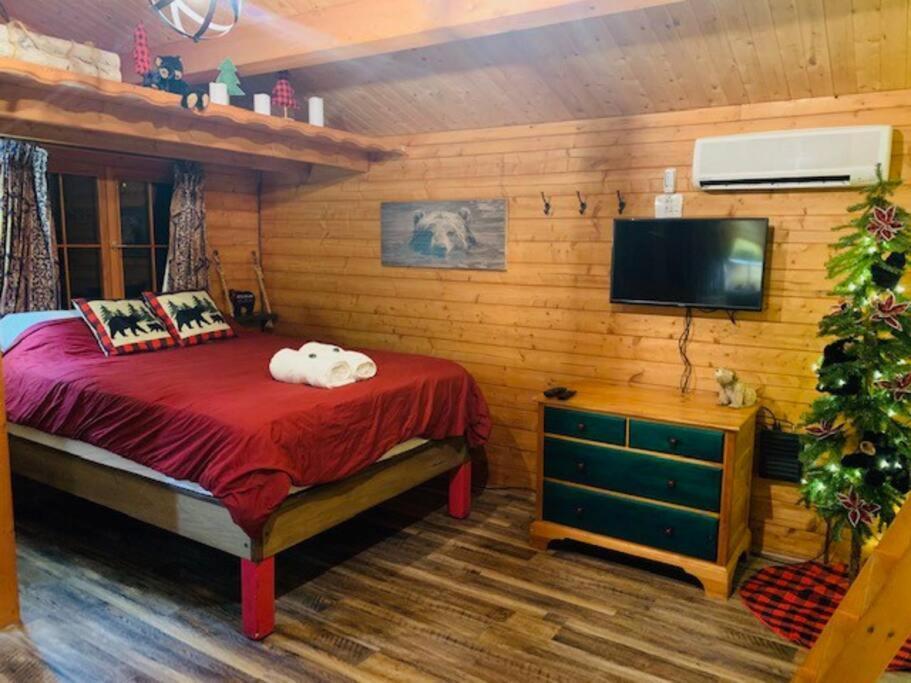 Honeybear Hideaway Cabin Хейвард Экстерьер фото