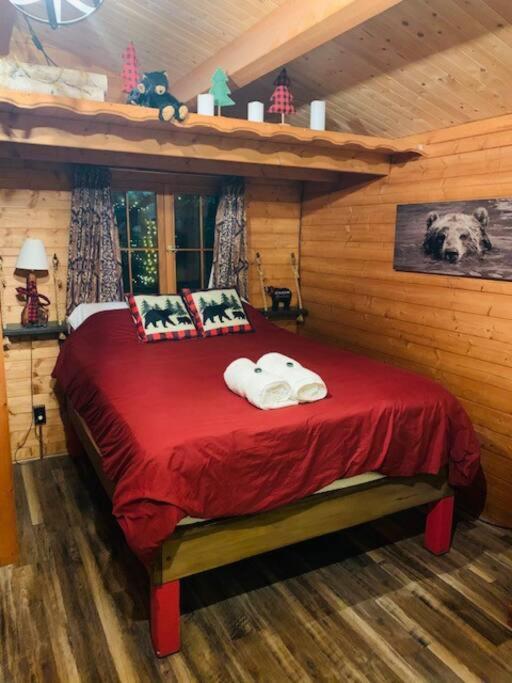 Honeybear Hideaway Cabin Хейвард Экстерьер фото