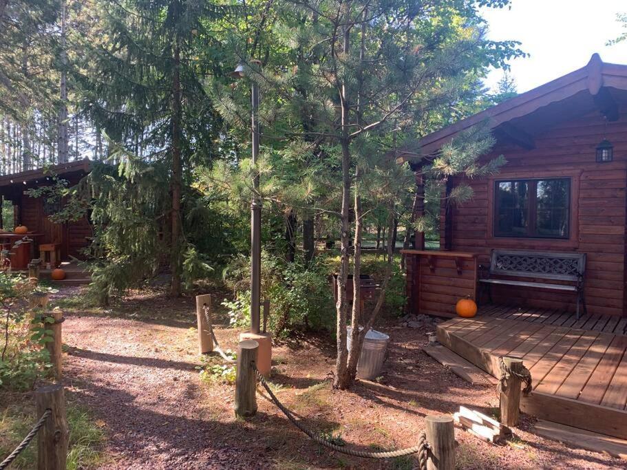 Honeybear Hideaway Cabin Хейвард Экстерьер фото