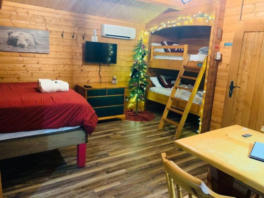 Honeybear Hideaway Cabin Хейвард Экстерьер фото