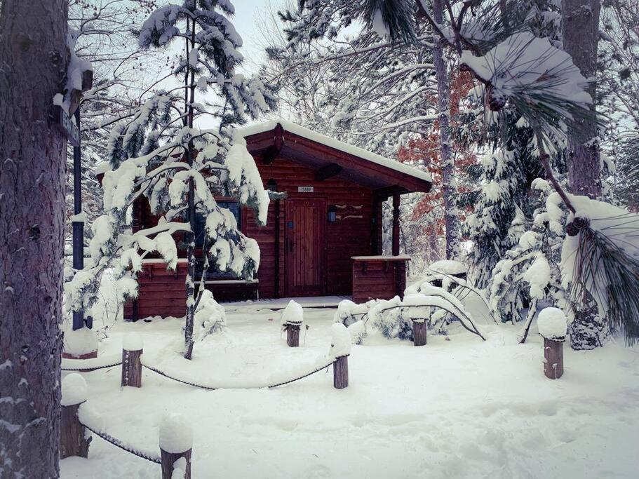 Honeybear Hideaway Cabin Хейвард Экстерьер фото
