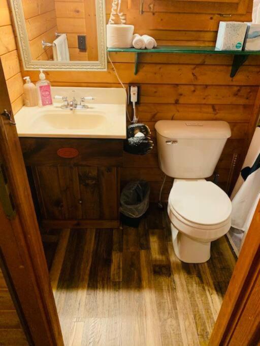Honeybear Hideaway Cabin Хейвард Экстерьер фото